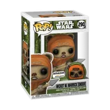 Wicket W. Warrick (Endor) #290 Funko Pop