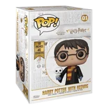 Harry Potter with Hedwig #01 Funko Pop