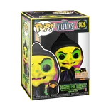 Disguised Evil Queen with Raven #1426 Funko Pop