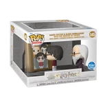 Harry Potter and Albus Dumbledore with The Mirror of Erised #145 Funko Pop