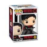 Terry McGinnis #560 Funko Pop