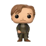 Remus Lupin #45 Funko Pop