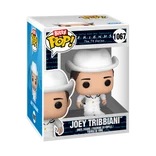 Joey Tribbiani #1067 Funko Pop