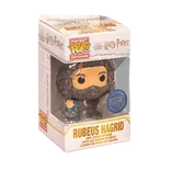 Rubeus Hagrid Funko Pop